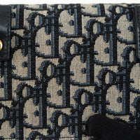 Dior Ecru and Blue Oblique Canvas Belt Bag