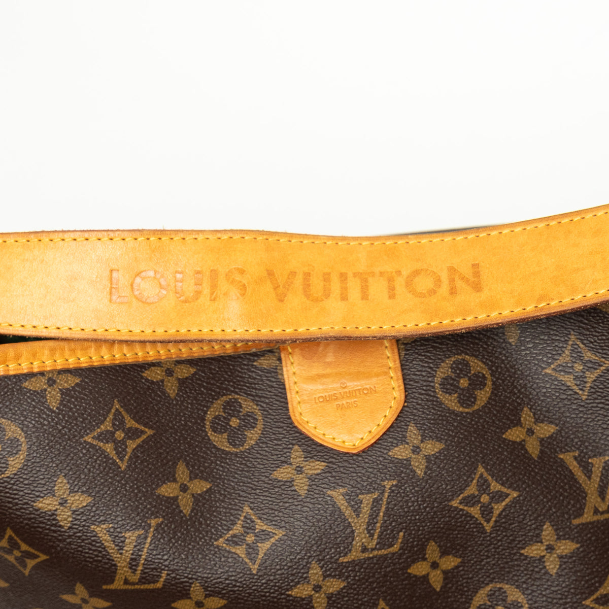 Louis Vuitton Monogram Canvas Delightful MM Tote