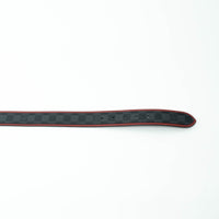 Louis Vuitton Damier Graphite Canvas Belt with Red Leather Trim Size 95/38