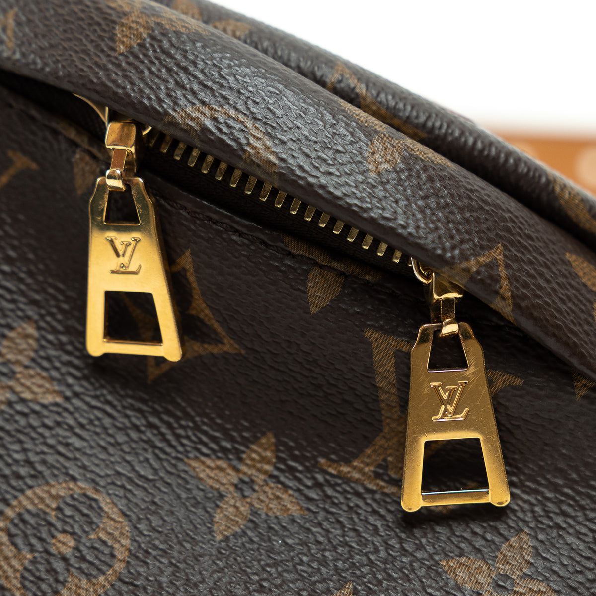 Louis Vuitton Monogram Canvas Belt Bag