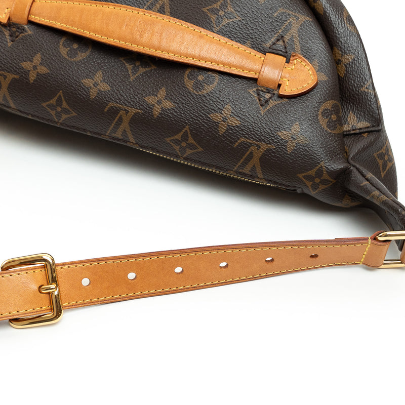 Louis Vuitton Monogram Canvas Belt Bag