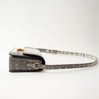 Celine White Gradient Lizard Skin Teen Triomphe Flap Bag