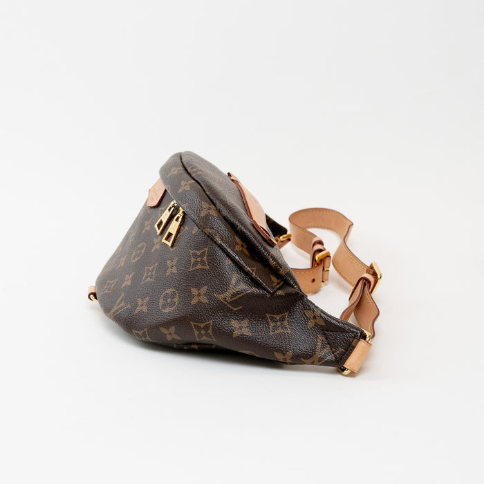 Louis Vuitton Monogram Canvas Bumbag