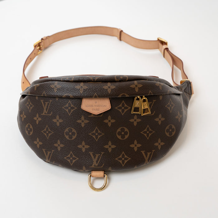 Louis Vuitton Monogram Canvas Bumbag