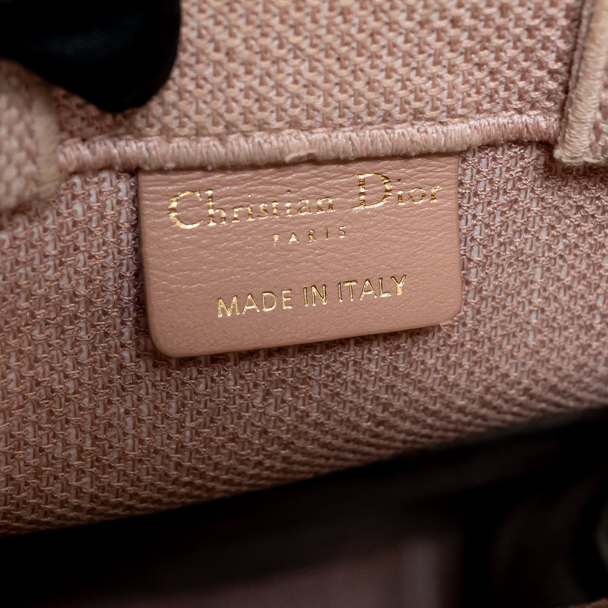 Dior Blush Pink Canvas 2020 Fleurs Bibliques Vertical Book Tote